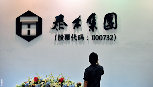 泰禾集团最新重组步骤指南揭秘