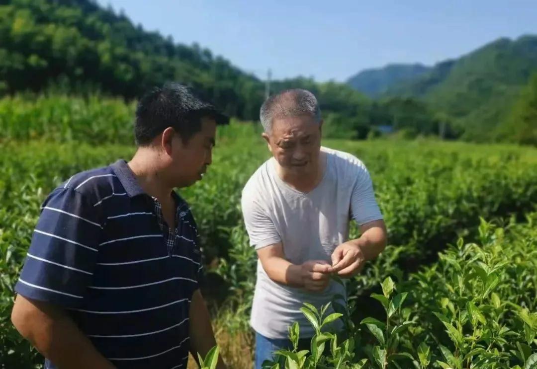 最新东至县，小巷深处的独特风味探索