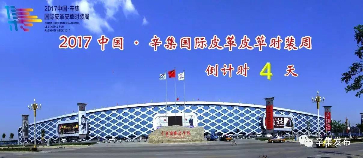辛集市最新动态，历史回响与时代印记下的繁荣脉搏