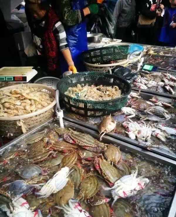 海鲜最新消息,海鲜最新消息，行业现状与发展趋势分析