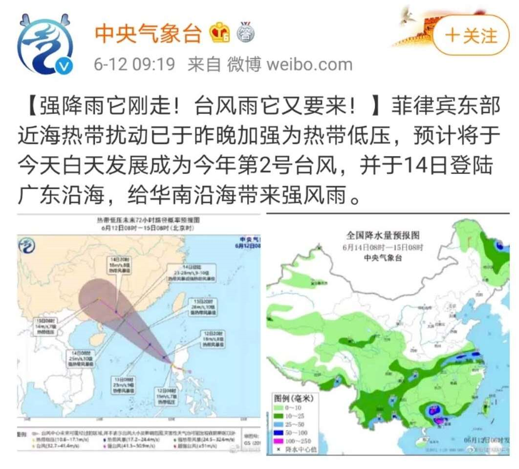 广东鹦鹉台风最新报道,广东鹦鹉台风最新报道，科技引领前沿，智能守护家园