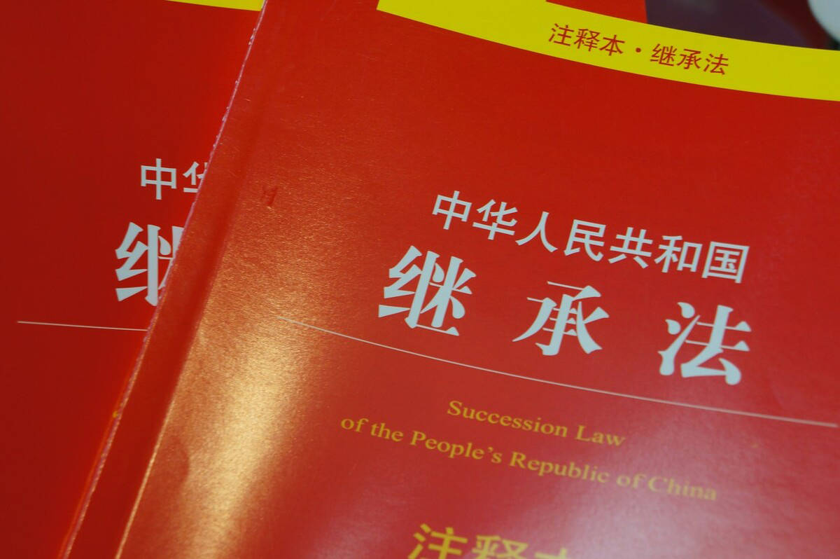 民法典最新遗嘱，自然美景的心灵之旅探索