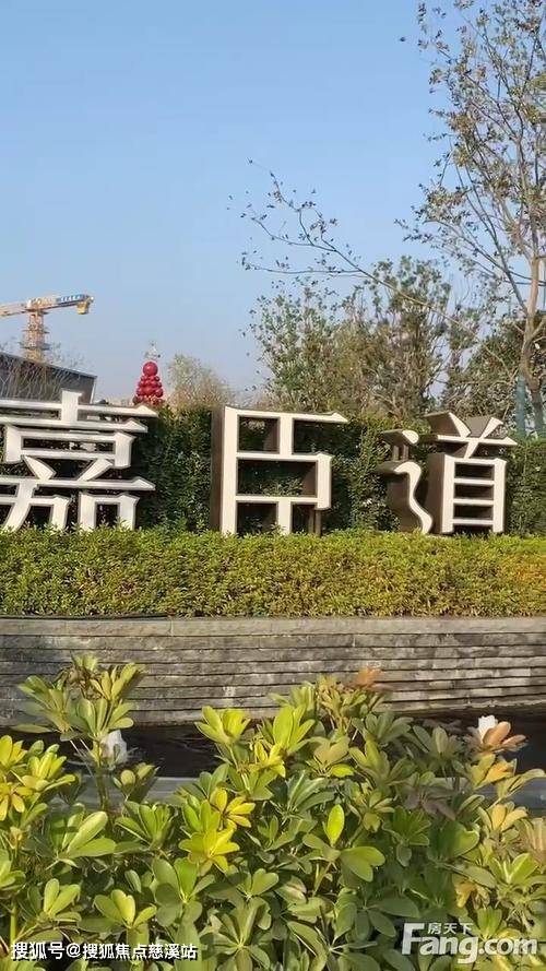 嘉臣道长沙最新动态更新