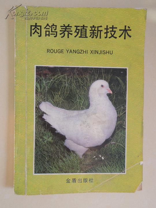 最新肉鸽养殖技术教程,最新肉鸽养殖技术教程，科技重塑养殖业，开启未来肉鸽产业新篇章