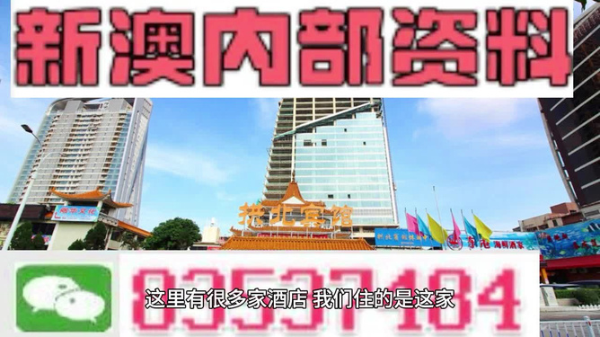 2004新澳精准资料免费,实践调查说明_未来版88.197