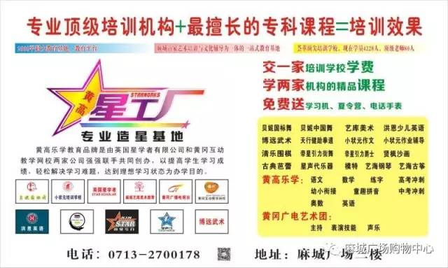 2024新澳门天天开奖资料,社会承担实践战略_精英版59.174