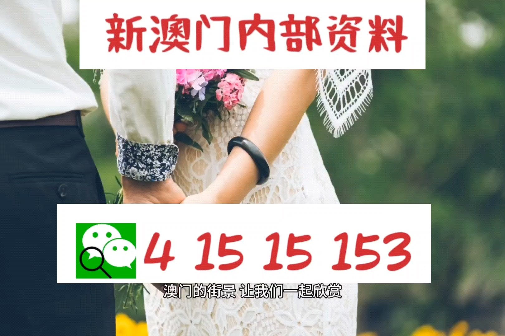 2024新澳门正版挂牌,现象分析定义_明亮版56.932