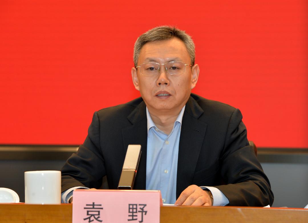上市公司内部审计的关键要素及案例分析详解