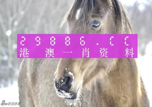 澳门一肖一码100%精准,专家意见法案_SE版55.168