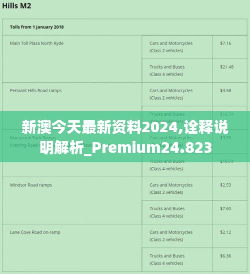 2024新奥马新免费资料,现象分析定义_零售版45.316