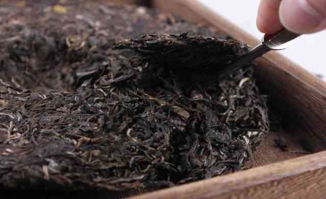 普洱茶行情最新动态及分析