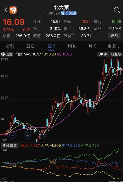 玉米股票投资，市场洞察与策略分析