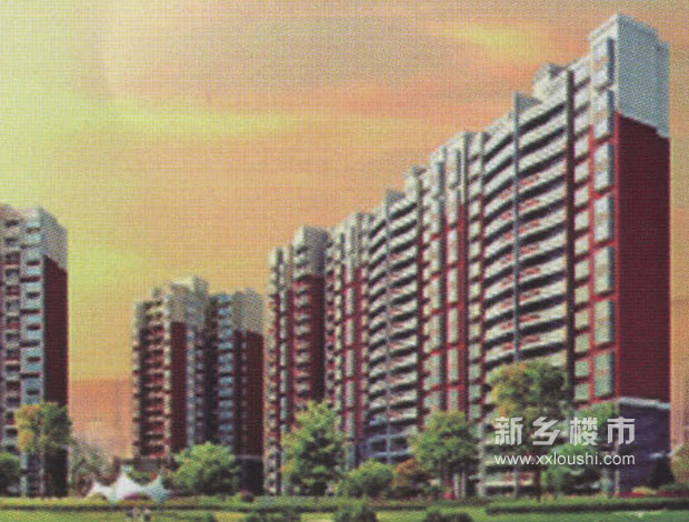 新密楼市价格动态深度解析，市场走势与最新价格情报