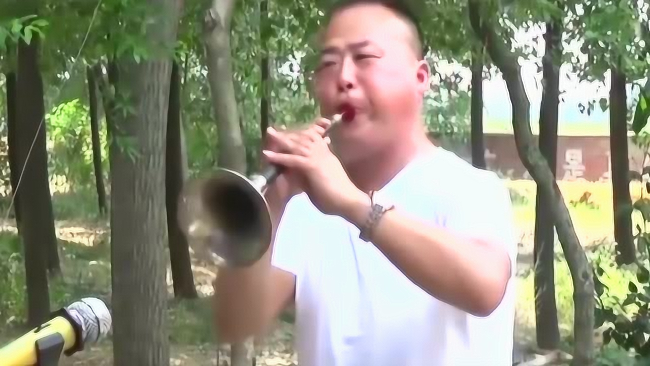 最新唢呐音乐推荐，一曲悠扬，缔结友情之约