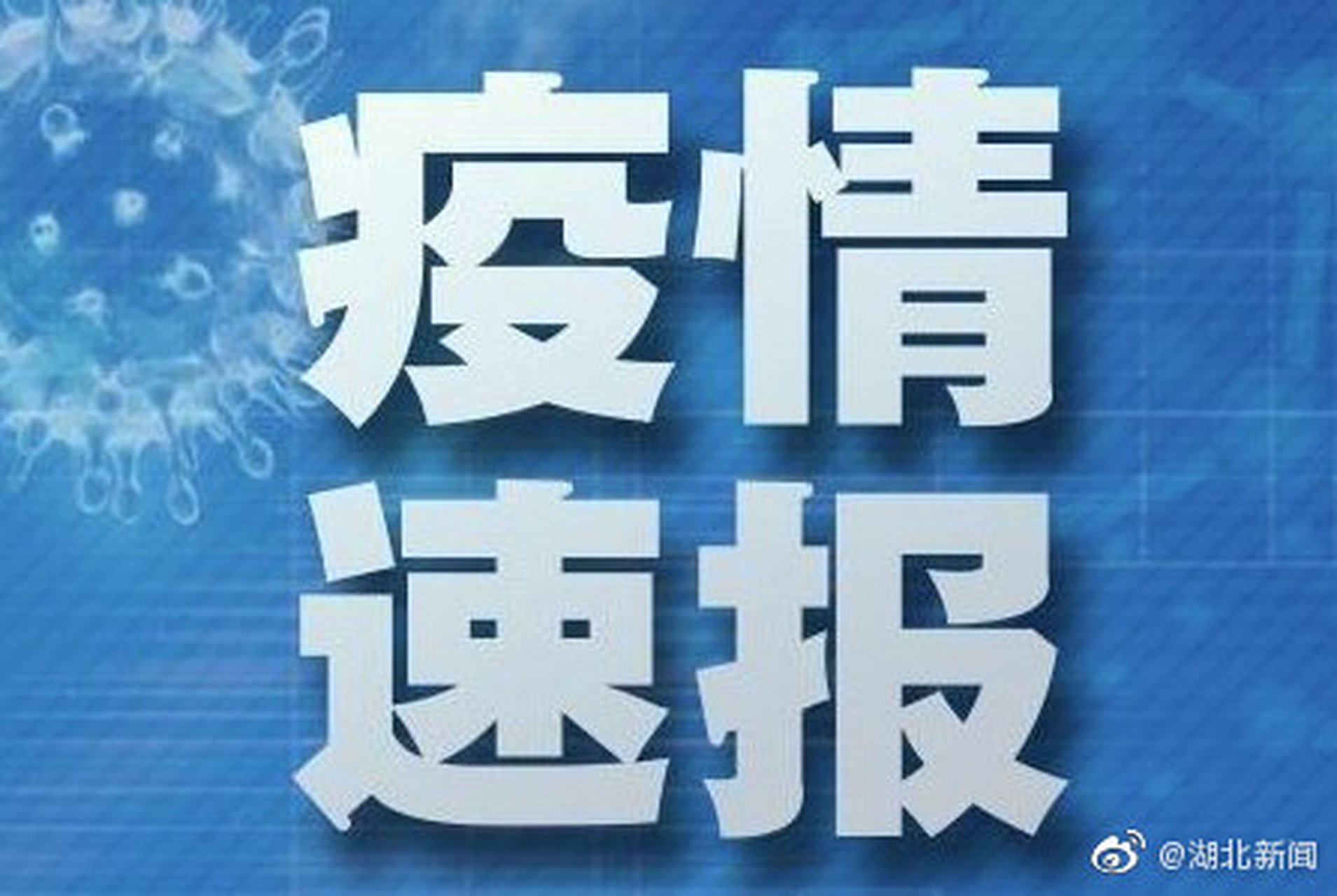 疫情最新通报更新，最新疫情动态报告