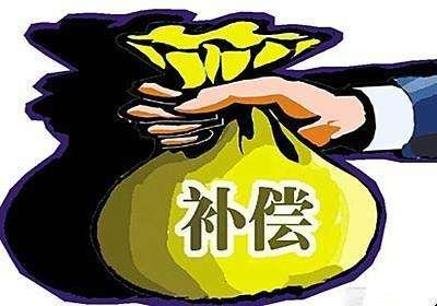 公司法最新修订，变革中的机遇，播种自信与成就的种子