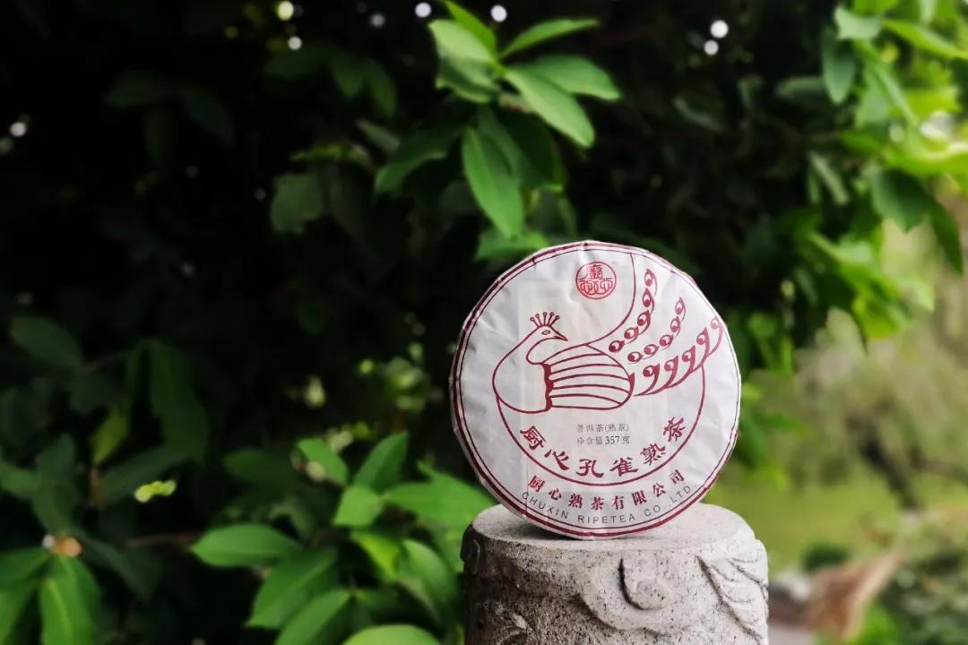 神秘世界探险与美食之旅，阴阳鬼厨最新章节