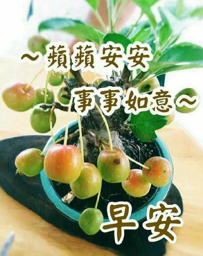 健康生活最新资讯及观点论述汇总
