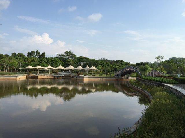 深圳东进坪山最新动态，区域发展前景与影响深度解析
