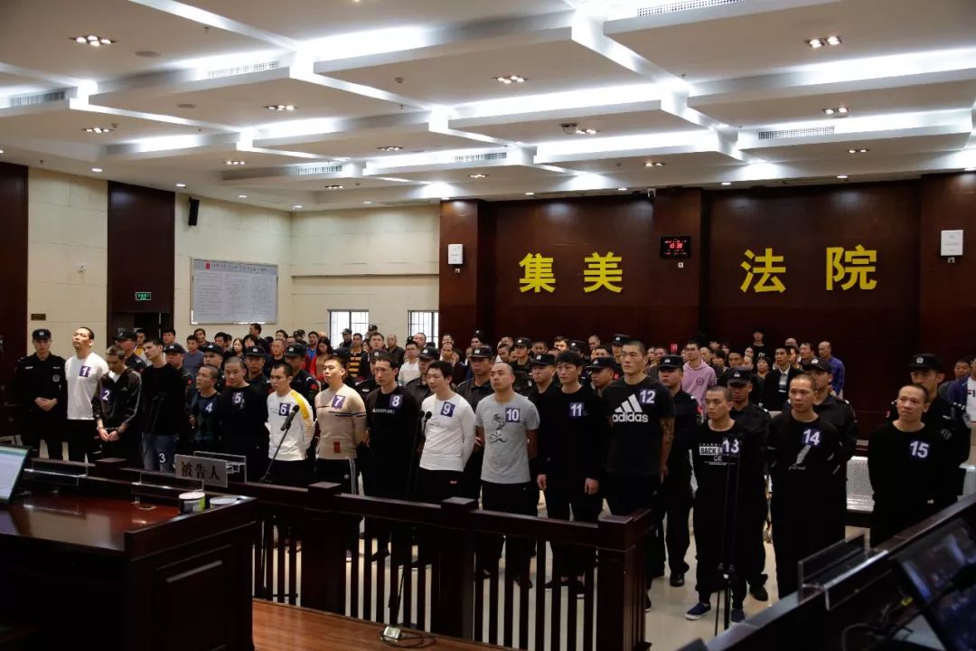 厦门最新判决，变化的力量与学习的魅力展现