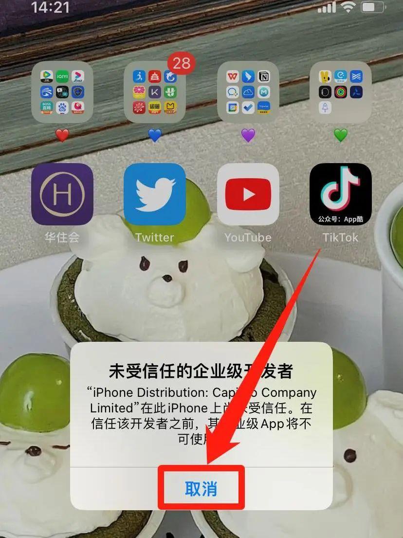 抖音最新科技前沿版本，多彩生活瞬间体验