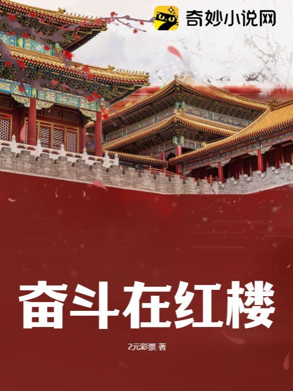 红楼奋斗新篇章，追梦之旅的激情与智慧展现