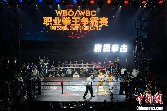 WBO比赛探秘，职业拳击巅峰之战的热血瞬间