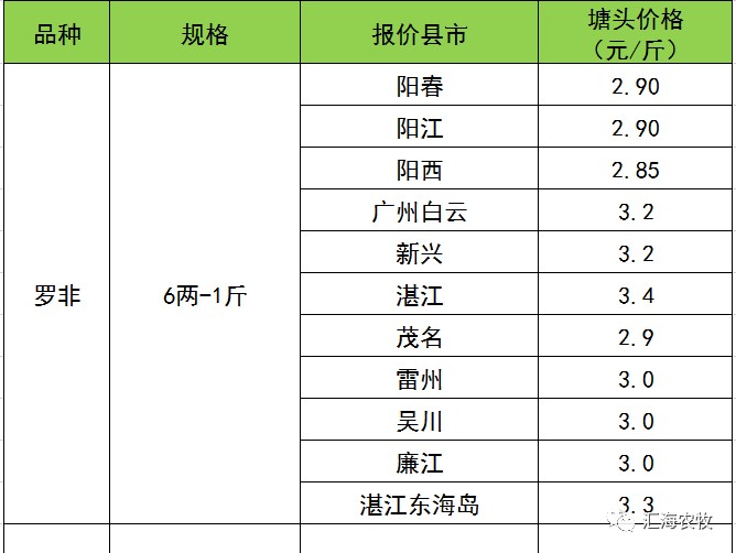 今年鲮鱼价格行情解析，钓鱼之旅的心灵探寻之路