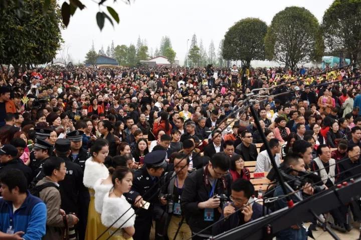 南县罗文村花海盛景，自然美景的心灵之旅探索