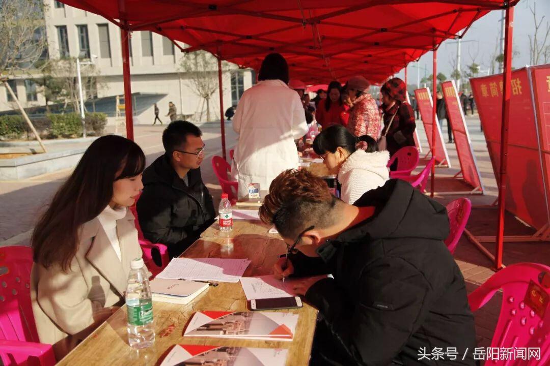 港区招聘信息更新，持续招募人才，故事不断延续