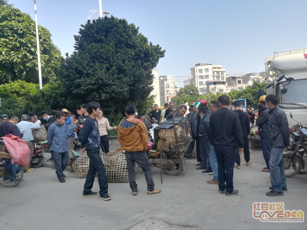 最新灵山疫情动态，力量转变与自信成就感的背后故事