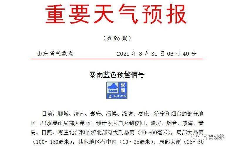 山东最新报告，温馨日常故事揭晓