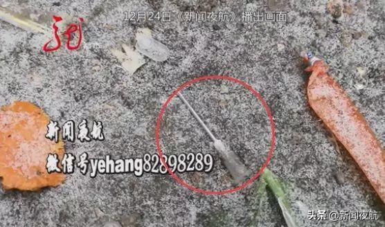 民权最新垃圾，观点碰撞与个人立场阐述的探讨